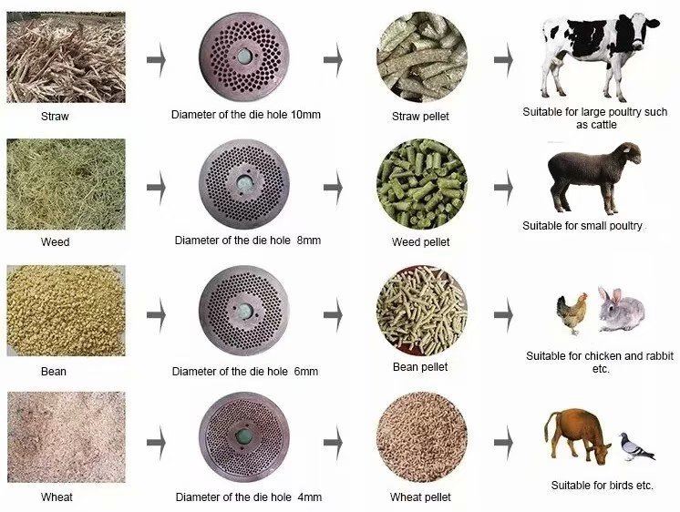pellet-feed-machine-7