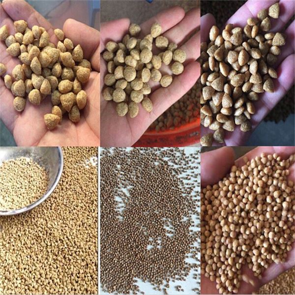 fish feed making extruder