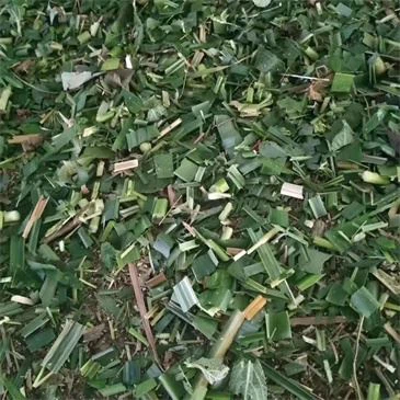 hay-grass-straw-chaff-cutter-machhine