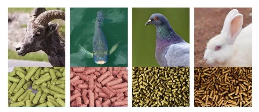 chicken Pellet food maker