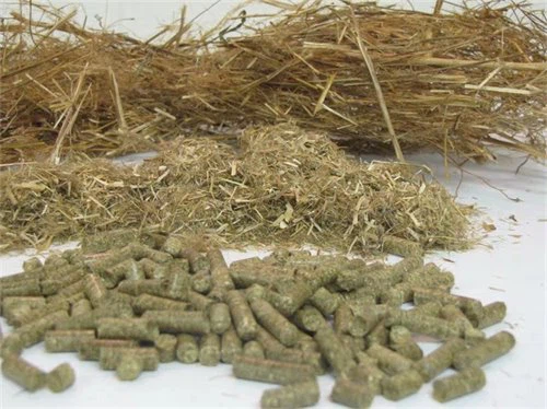 wood pellet machine59