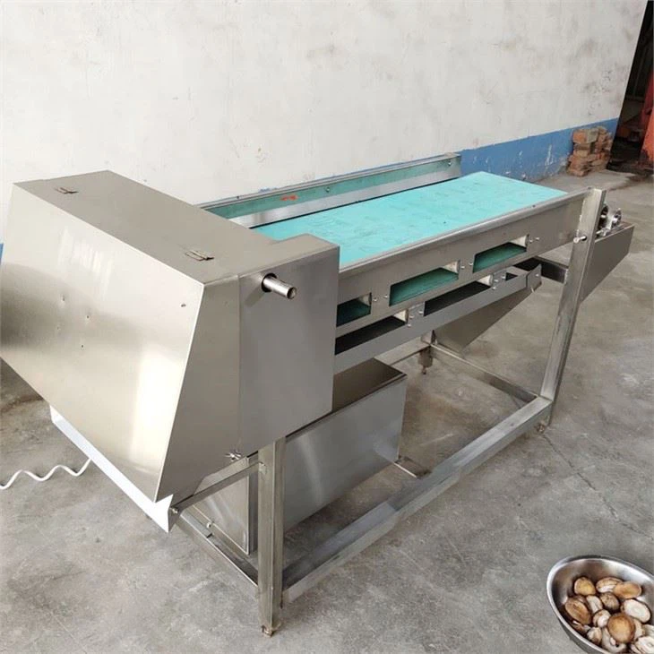 Mushroom Cutting Machine
