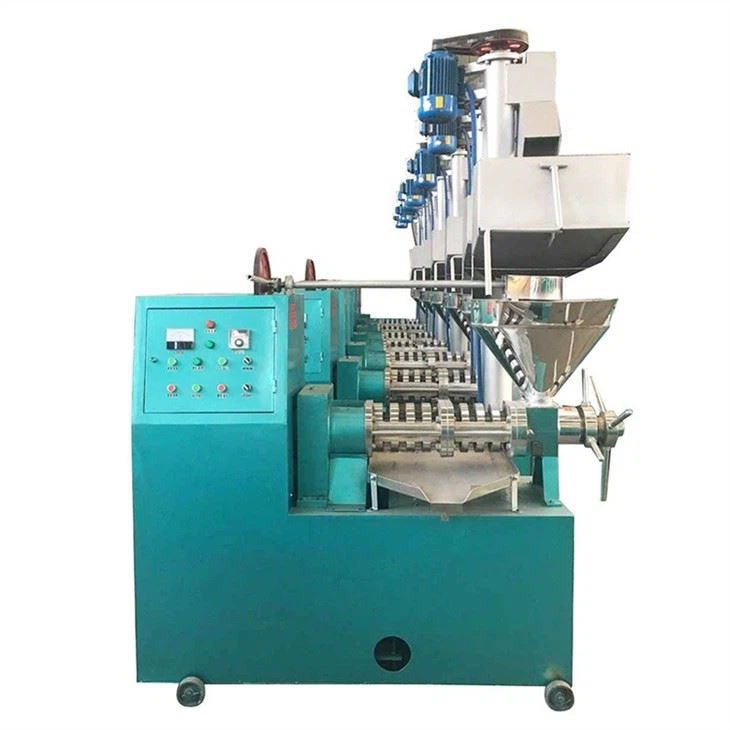 Screw Oil Press Machine