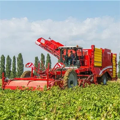 Sweet Potato Harvester